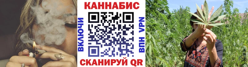 где найти Тогучин Марихуана тримм